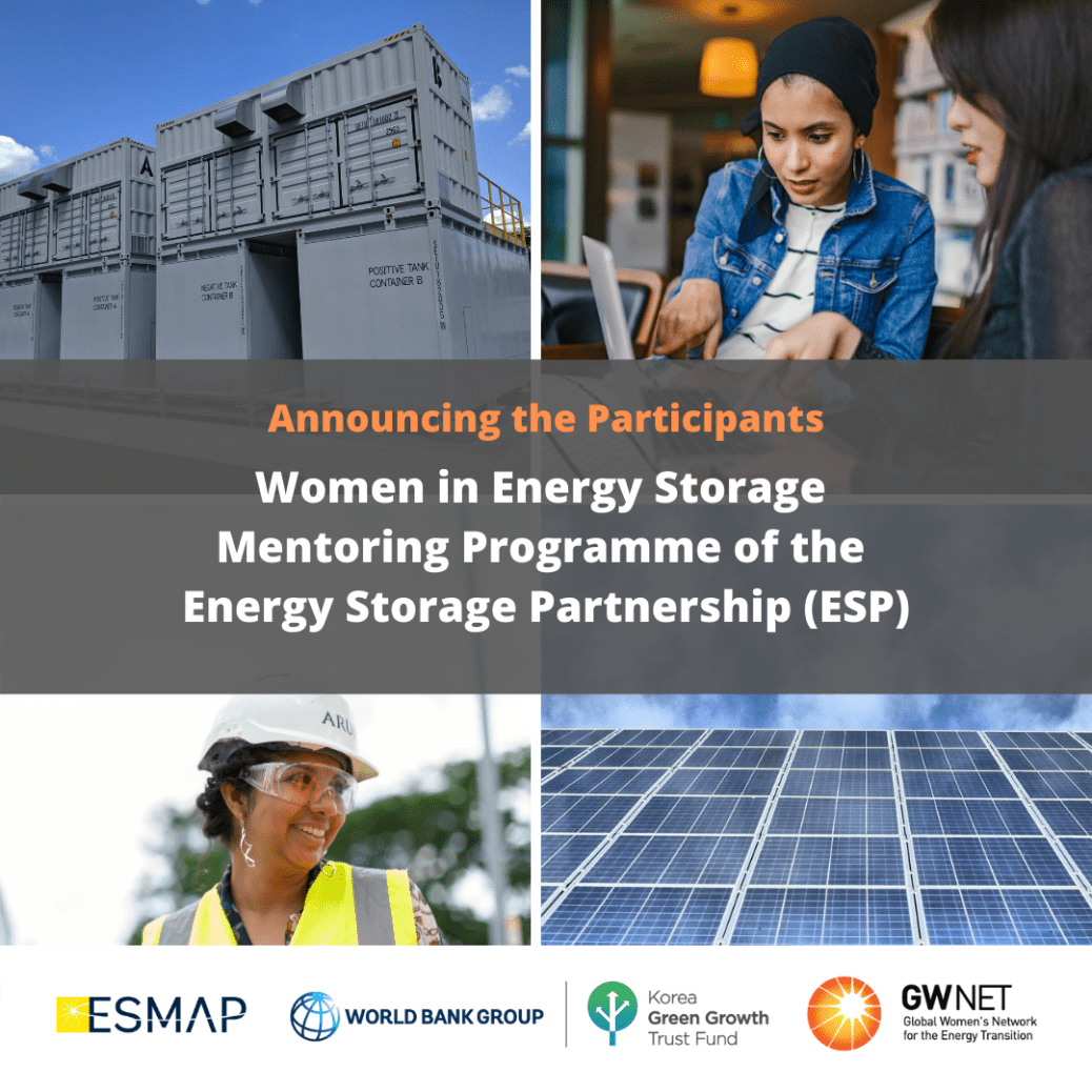 Participants of the Women in Energy Storage Mentoring Programme