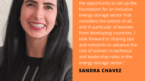 Sandra Chavez Energy Storage Quote