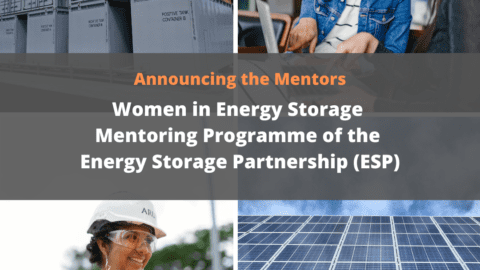 Mentors of the Women in Energy Storage Mentoring Programme (1)