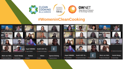 Screenshot of webinar participants on clean cooking template background